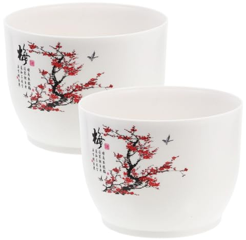 Abaodam 2 pièces Pot de Fleurs Hydroponique Plastique Épais Bac à Plantation pour Jonquille Jardinière Ronde Décorative pour Intérieur et Extérieur Bol à Plantes Polyvalent pour Jardin et