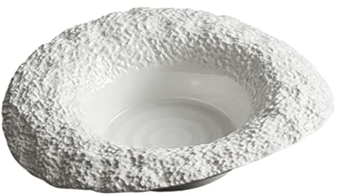 MAGICLULU Assiette à Pâtes En Céramique 26 Cm Motif Roche Chapeau De Paille Assiette Creuse Résistante Usage Maison Et Restaurant Multifonction Service Individuel