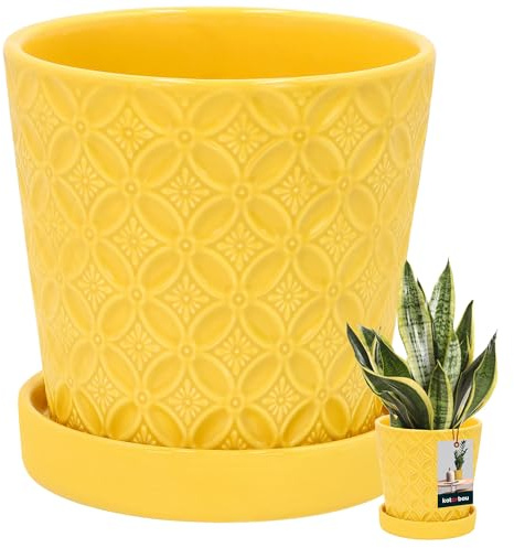 KOTARBAU® Pflanzentopf mit Untersetzer Senfgelb ⌀ 13 cm Höhe: 15 cm Glasierte Keramik Blumentopf Keramik groß Plant Pot Kaktus Topf mit Untersetzer Übertopf Blumentöpfe