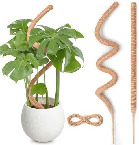 Tutores para Plantas, SproutMaven 2 x 120 cm de Poste de Musgo de Monstera, Trepadoras Estacas Hechas a Mano para Plantas de Interior