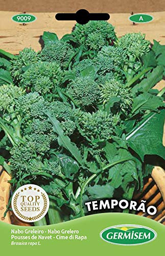 Germisem Temporao Semi di Verdi Rapa 20 g