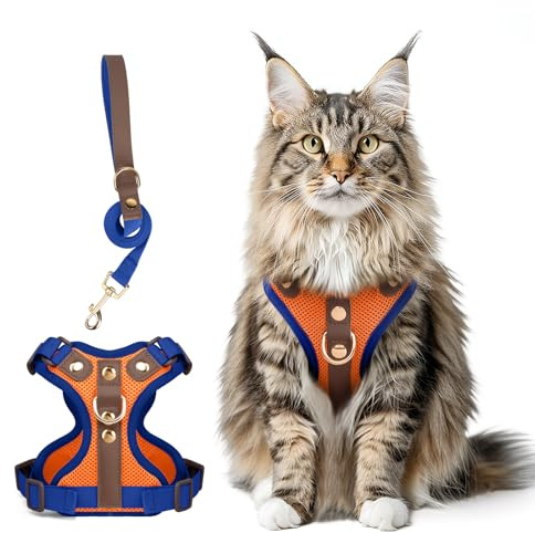 Ausbruchsicheres Katzen Geschirr & Leine Set, Verstellbares Reflektierendes Geschirr mit Atmungsaktivem Mesh und Hochwertigem Leder für Katzen & Kätzchen (Orange + Blau, XL)