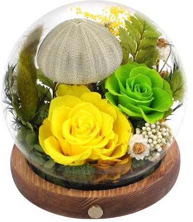 Loveliome Long-Lasting Real Preserved Flowers in Glass Dome - Unique Starfish or Butterfly Eternal Roses Gift with LED Lights for Women Monther Indoor Decoration, Jellyfish and Yellow Green Rose