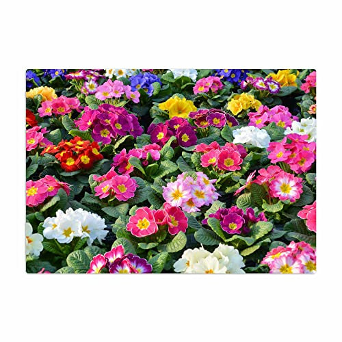 Vero Home 13160 Glas-Schneidebrettchen | Motiv Natur Primeln | rutschfest, kratzfest und lebensmittelecht | Maße: 29 x 20 cm