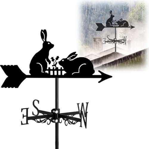 GFLCWYP 1 Artikel Wetterhahn Windfahne Windspiel Rostfreier Weathervane Retro Wetterfahne Mini Deko-Wetterfahne Fur Wind Direction Indicator Und Dach Garten Deko