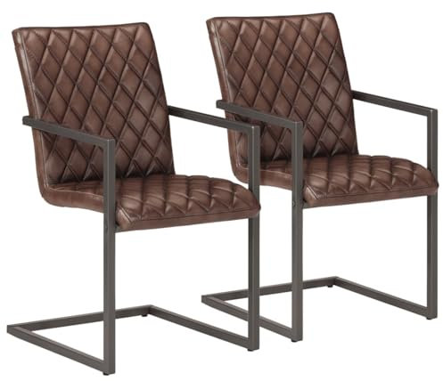 ShGaxin Freischwinger 2 STK Esszimmerstühle, Stühle Set, Küchenstühle, Stühle Esszimmer, Besucherstuhl, Bankettstühle, Essensstuhl, Braun Echtleder