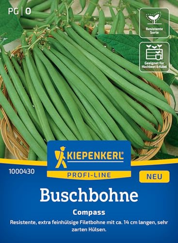 Kiepenkerl Buschbohnensamen Compass 1000430, Gemüsesaat | Inhalt für 8-10 laufende Meter, Wuchshöhe 50 cm, kompakt