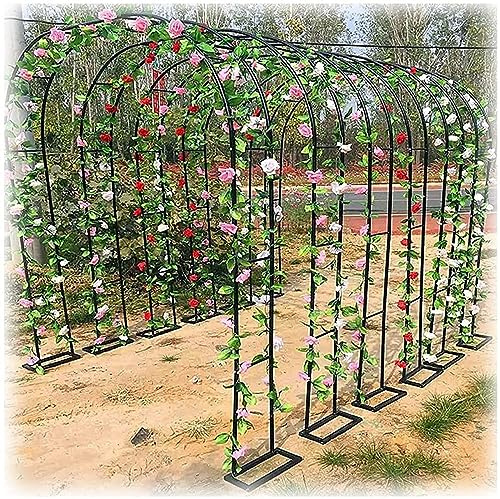 Pergola de jardin en fer forgé - 120 cm à 350 cm de largeur - Élégante arche de rose pour mariage et support de plantes de vigne - Noir - L120 cm x H 220 cm - Décoration extérieure