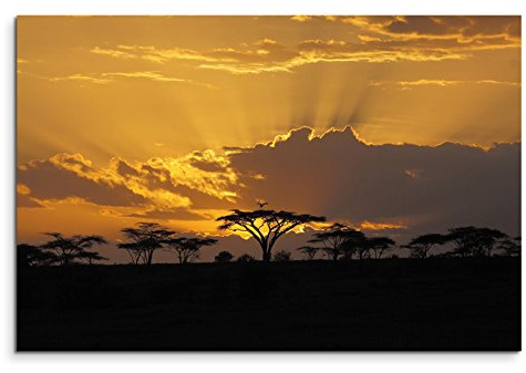 120x80cm Leinwandbild auf Keilrahmen Afrika Akazien Bäume Sonnenuntergang Wandbild auf Leinwand als Panorama
