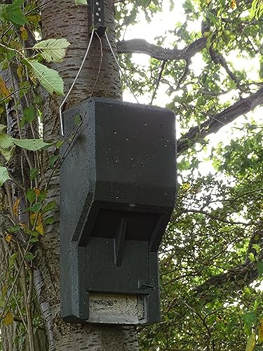 HASSELFELDT Fledermausganzjahresquartier für Abendsegler aus Holzbeton | Winterquartier | Sommerquartier| Fledermausquartier | Fledermauswochenstube | Großraumhöhle | Fledermauskasten| Fledermaus-Haus