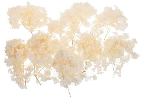 MUELODSIC Ortensie Essiccate Naturali Decorazione Conservata per Matrimoni Feste e Centrotavola DIY Foglie Raffinate per Confetti e Artigianato