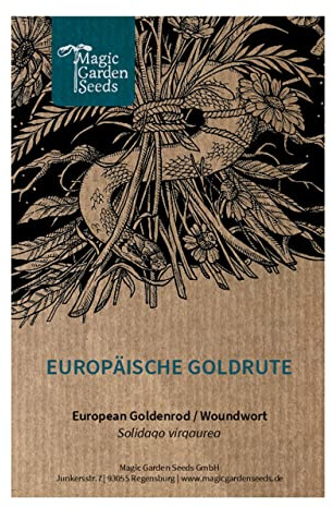 Europeisk gullris (Solidago virgaurea) - ca 500 frön