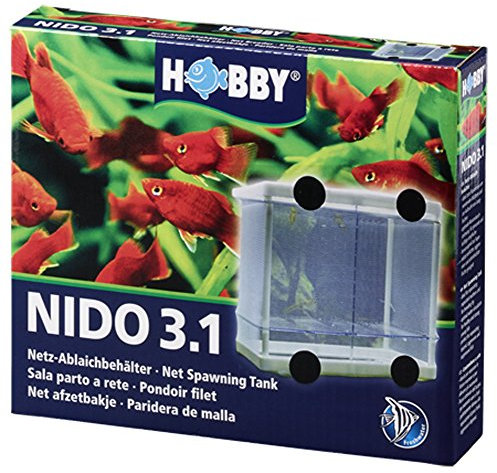 HOBBY Aquaristik Nido 3.1 I 16 x 16 x 14 cm I Netz-Ablaichbehälter zum Separieren von trächtigen Fischen und zur Aufzucht von Jungfischen I Fisch Ablaichkasten für Aquarien I Aquarium Zubehör