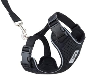 RC Pet Products Adventure Kitty sele, kattsele för promenad, medium, svart (53804001)