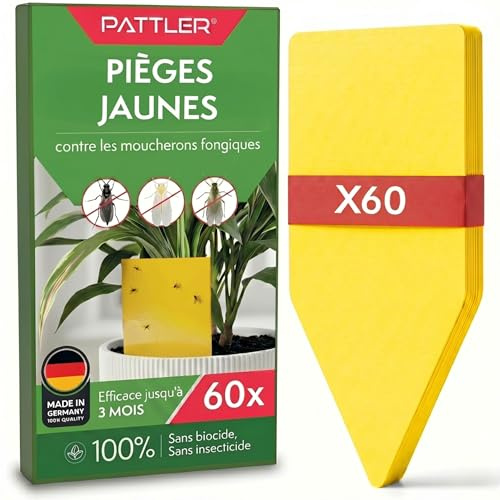 Pattler Piège à Moucherons Plantes Intérieur – 60 Unités. Anti Moucherons Plantes Intérieur Jaune Collant, Attrape Moucheron Efficace pour Terreau et Pots, Piège Jaune Double Face