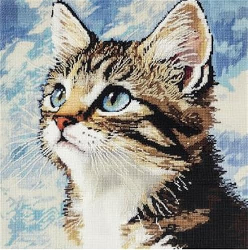 Henypt Knüpfhaken Set Kissen Katze Knüpfkissen Set mit Vordruck 43X43cm 3D Stickset Kissenbezug Couchkissen Sofakissen Handarbeiten für Wohnzimmer Schlafzimmer