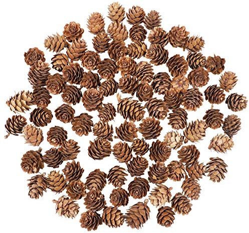 Cooraby 85 Pieces Micro-mini Natural Pine Cones Christmas Natural Pine Cones Ornaments for Home Decoration, Fall and Christmas Crafts