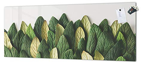 Concept Crystal Glass splashback with Metal Backing - Kitchen Glass Panel Flowers&Plants Series MBBS04C: