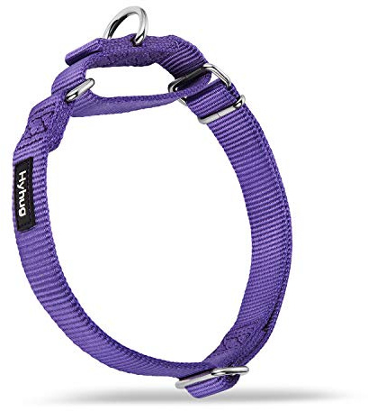 Hyhug kraftig nylon anti-flykt martingal hundhalsband för stora medelstora små pojkar och flickor hundar - promenadträning daglig användning. (Medium, Ultra Violett)