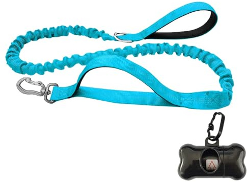 Tungt hundkoppel med bilsäkerhetsbälte för träning, bungee-koppel 2 handtag, ingen dragning, stötdämpande för vardag och träning (blå)