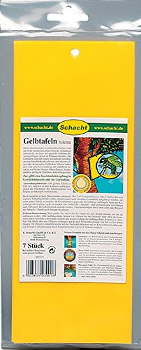 Schacht 1GELBBT10 Gelbtafeln beleimt