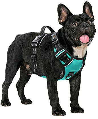 HEELE Hundegeschirr ohne Zug, Brustgeschirr für mittel Hund, einstellbares reflektierendes Hunde Geschirr, atmungsaktive Hundegeschirre mit gepolstertem Griff, No-Pull Dog Harness, Türkis, M