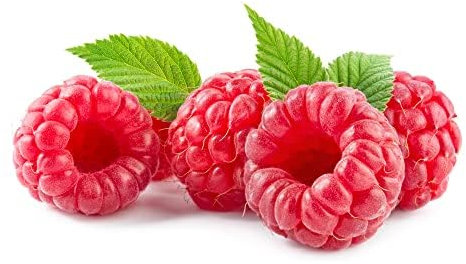 Raspberry Plants, 'Joan J', 3 x Full Plants in 2 Litre Pots, Garden Fruit, Raspberries, Garden Ready and Ready to Plant, Premium Quality Fruit
