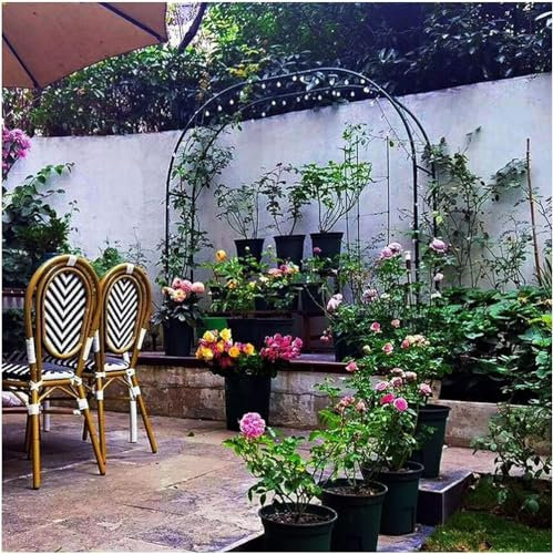 Schwarzer Stahl Garten Laube Hochzeitsbogen Metall Laube Pergola Rohrförmige Rahmen Spalier Gewölbe für Kletterpflanze Rosen Wein 180Cm 140Cm 240Cm Breit,Schwarz,W2.4M*H2.2M