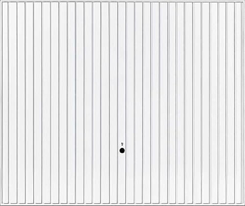 Hörmann Berry-Schwingtor N80 902 bianco (2250 x 2000 mm)