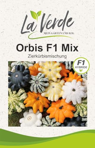 Orbis F1 Mix Kürbis-Samen