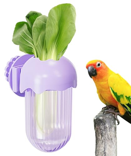 Platos para Alimento de Aves en Jaula | Platos para Alimentar Loros Y Aves | Recipiente de Agua y Comida con Sujetador para Guacamayos, Cotorras, Periquitos, Agapornis y Aves Pequeñas