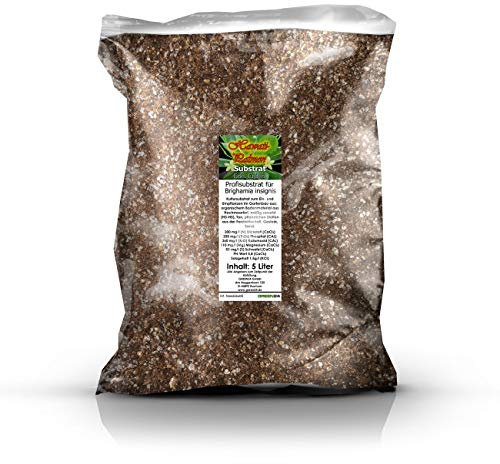 Hawaii-Palmen Erde 5 Liter Substrat für Brighamia insignis - Vulkanpalmen Profi Linie Substrate & Erden
