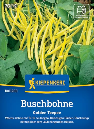 Kiepenkerl Buschbohnensamen Golden Teepee 1001200, Gemüsesaat | Gemüsesamen für eine Wachs-Bohne mit 16-18 cm langen Hülsen, Inhalt für 8-10 laufende Meter, Wuchshöhe 50 cm, fadenlos