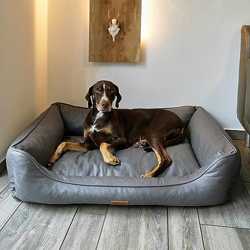your GEAR Belluno Orthopädisches Hundebett 70x100 cm – Oeko-TEX Hundekorb, waschbar, hygienisch, ergonomisch, komfortabel, ideal als Hundebett große Hunde - auch als Katzenbett