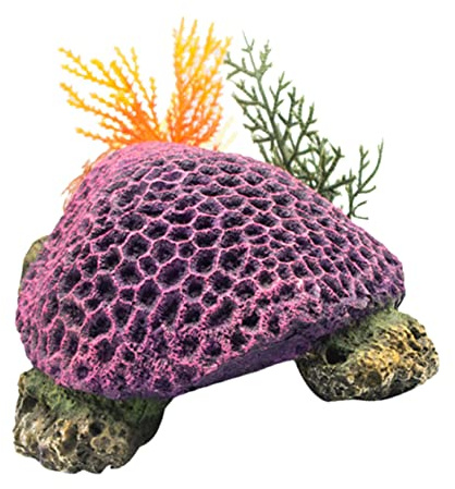 BUGUUYO 1 Stück Terrarienfisch Wasserhöhle Landschaftsbau Pflanze Aquarium Landschaft Dekorativ Unterwasser-Rest Schildkröte Koralle Garnele Marine Für Figur Farbe
