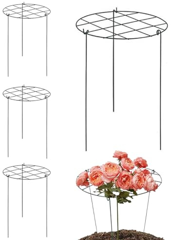 Gabbia per peonie | Supporto per piante da esterno, gabbia per piante resistente alle intemperie per ortensie, monstera, pomodori, verdure, fragole, fiori per aiuole rialzate, agricoltura, giardino