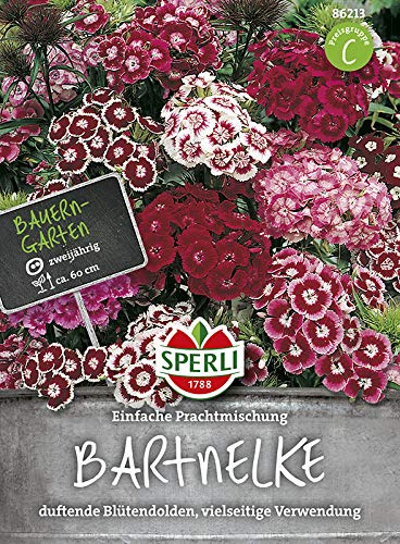 Sperli 86213 Mélange de clou de girofle (graines de clou de girofle)