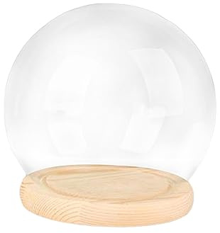 MagiDeal Dôme d'affichage avec Base en Bois Support de Micro Paysage décoratif Couvercle en Verre Centres de Table Cloche en Verre Dôme en Verre Transparent, Socle en Bois de 12 cm