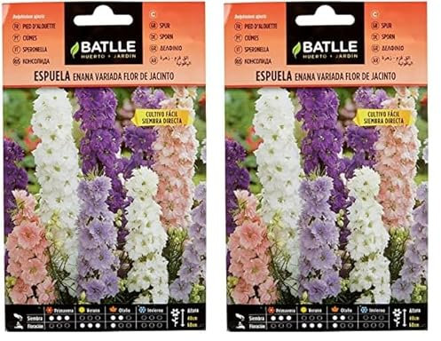Semillas Batlle Espuela - ENANA - flor de jacinto (Paquete de 2)
