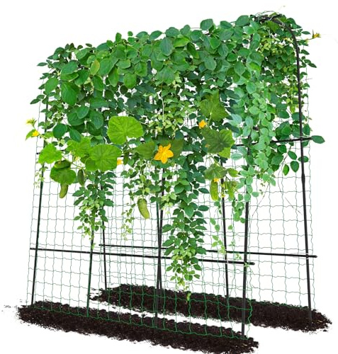 ZIKEBTUY Rankhilfe gurken 180cm hohes Rankhilfe Rankbogen aus Metall Gartenbogengitter mit Gartenklammern und gedrehtem Riemen für Kletterpflanzen Wein Gemüse Obst Blumen Hof Rasen (180x50x180cm)