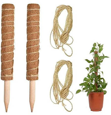 REKALRO 2 Stücke 40cm Moosstab Pflanzstab Kokos, Monstera Rankhilfe Rankstäbe mit 2 Stück 2m Lange Schnur, Blumenstab Kokosstab Rankstab, Pflanzstab Rankhilfen für Garten Pflanzenunterstützung