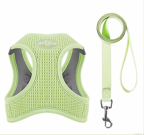 feiling Hundegeschirre Atmungsaktiv Katzengeschirr Leichtgewicht Welpengeschirr für Kleine Hunde Brustgeschirre Reflektierend Softgeschirr mit Hundeleine (S, grün)