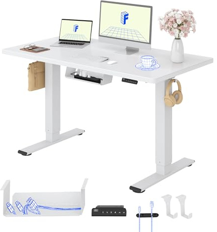 FLEXISPOT Scrivania Regolabile in Altezza a 2 Motori 120x60 cm con Piano Unico, Pannello con Memoria, Portata 100 kg