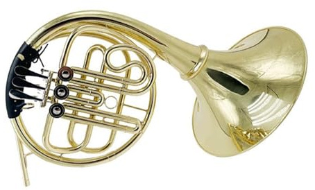 Waldhorn Anfängerinstrument B Dur Einreihig Dreistimmig Viergeteilt Waldhorn Blasinstrument(2)