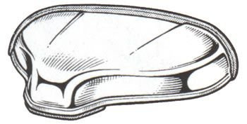 PRASCO Kennzeichenleuchte FT0034350
