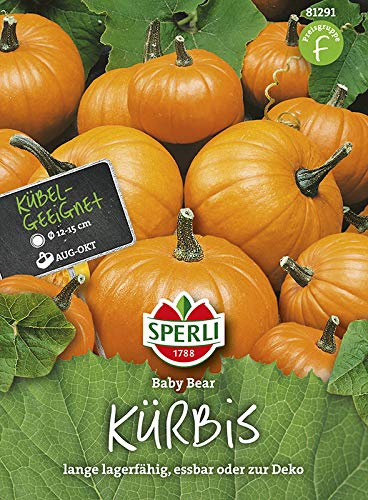 Kürbissamen - Kürbis Baby Bear von Sperli-Samen