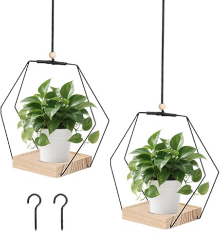 Fouvin 2 Stück Blumenampel Hängend Innen, Hängeblumentopf Hängeampel, Hängeampel Mit Holzsockel, Decke Hängende Pflanzer, Hängender Blumentopf Hängend, Mit Aufhängehaken, Wohnzimmer Balkon Deko