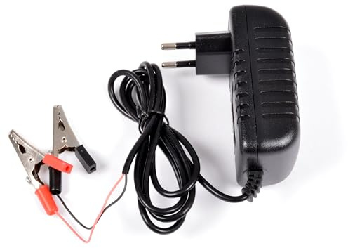 AFTERTECH 6V (7,3V) 2A CARICABATTERIA PER BATTERIE LIFEPO4 LITIO FERRO FOSFATO PILA CARICATORE CHARGER M7B1