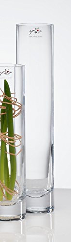 Sandra Rich Vaso in vetro Solifleur trasparente, cilindrico, 30 cm, Ø 6 cm, Cold Cut