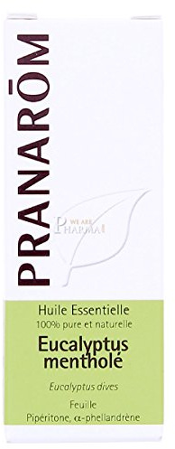 ESSENCE Eukalyptus Menthol 10